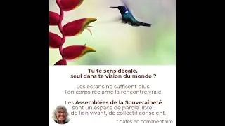 Miniature : 💎💎Assemblées de la Souveraineté : Un espace puissant, chaleureux, où l’on se transforme, ensemble.