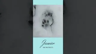 Miniature : Janvier