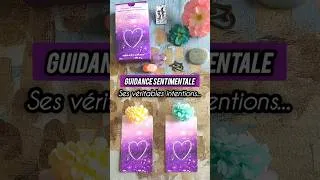 Miniature : GUIDANCE SENTIMENTALE 💗🌹 #tirageachoix #mariecartomancieetcompagnie 🧙‍♀️🐱