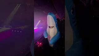 Miniature : On n’oublie pas que je suis talassophobe 🦈