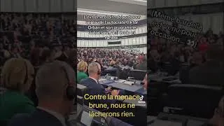 Miniature : L’extrême droite debout pour l’autocrate Viktor Orbán