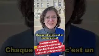 Miniature : La commission européenne bloque l’application d’une loi contre la déforestation !