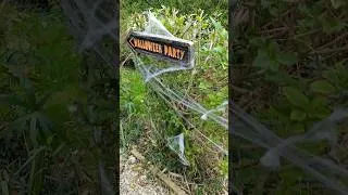 Miniature : Notre soirée d'halloween ! 🎃👻#halloween #halloweenparty #horror #repas #love #pourtoi