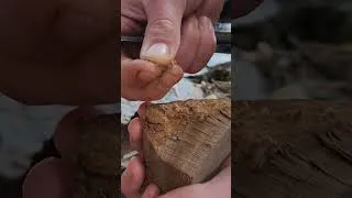 Miniature : Bushcraft REUSSIR son feu avec Pierre à feu et Amadou #shorts