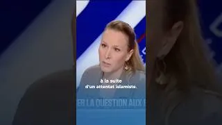 Miniature : La loi euthanasie m’attriste.