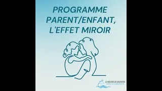 Miniature : Accompagnement Effet Miroir