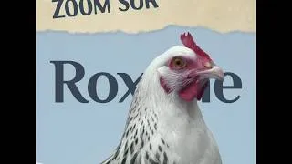 Miniature : Roxane - avec Guillaume de Tonquédec et Léa Drucker