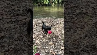 Miniature : Ma Huly marche sur l’eaux
