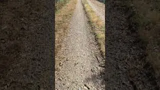Miniature : Silence ça roule 🚴