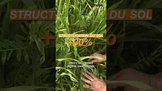 Miniature : Et si l’agriculture régénératrice changeait concrètement la production de semences ?