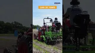 Miniature : 🌱 Semer son couvert dans le maïs ? La solution régénératrice ! #agriculturerégénératrice