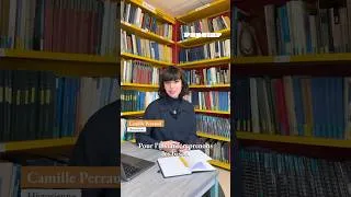 Miniature : CHRONIQUE DIJONNAISES #1 : Comment Henri IV a-t-il réussi à faire plier Dijon et les Ligueurs ? 👑🦉
