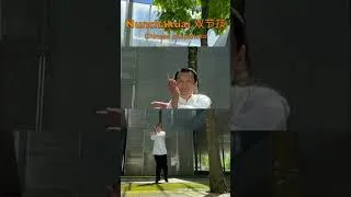 Miniature : Tai Chi Chuan, Tai Ji Quan, Qi gong, Chi Kung,  Nunchaku, Kung Fu Gu Qi Dao Nunchakuai