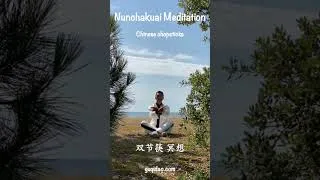 Miniature : Nunchakuai Meditation, Qi-Gong, Tai Ji
