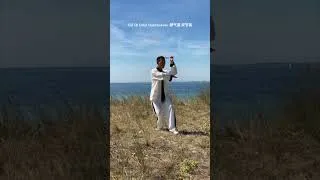 Miniature : Tai Chi Chuan, Tai Ji Quan, Qi gong, Chi Kung,  Nunchaku, Kung Fu Gu Qi Dao Nunchakuai