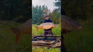 Miniature : Résumé carpe 2025 #carpfishing #carp #fishing #fishinglife #photography #bigfish #recap