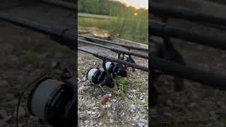 Miniature : #music #travel #edm #fishing #carpfishing #carp #fish #fishingcarp #love #beach #vlog