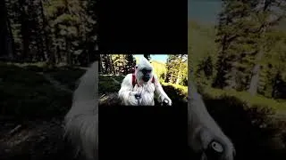 Miniature : Aujourd’hui, je découvre le redbull  #ia #humour #veo #animaux #veo3 #yeti #memes