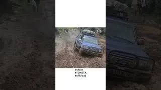 Miniature : TOYOTA HDJ 80 au travail