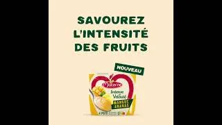 Miniature : Materne® Intense et Velouté : Mangue Ananas