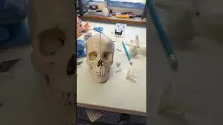 Miniature : Tuto découpage d'un crâne humain (No fake)