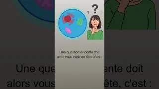 Miniature : Les bases de la membrane plasmique #biology #science #shorts