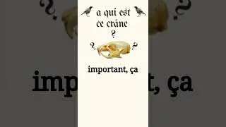 Miniature : A qui est ce crâne ? #shorts #science #animaux #os