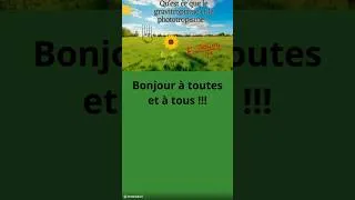 Miniature : Le gravitropisme et le phototropisme c'est quoi ??? #shorts #biology #plants
