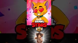 Miniature : NAN JAMAIS BRO 😹🤣