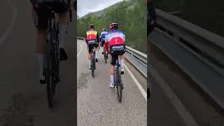 Miniature : Soudal Quick Step Alicante