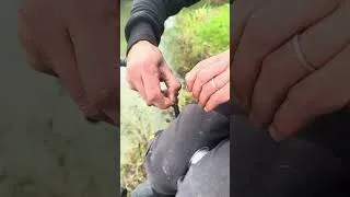 Miniature : Comment monter un hameçon à palette ?