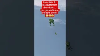 Miniature : Incroyable.. une grenouille volante 😱😱😱 #rechauffementclimatique #cerfvolant #plage #foryou #pourtoi