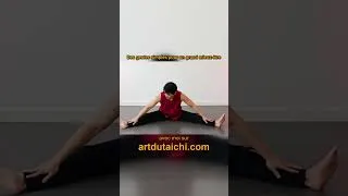 Miniature : Tai Chi : le mouvement qui rend le corps leger et serein 🌿