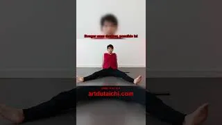 Miniature : Tai Chi : le mouvement qui rend le corps plus vivant chaque jour 🌿