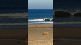 Miniature : Can’t wait to surf those clean fall swells