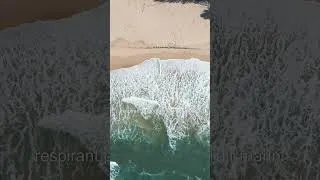 Miniature : Le sable et le vent