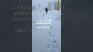 Miniature : It’s quite wild during winter … #canada_life🇨🇦 #canadawinter #montrealwinter #hiver2025