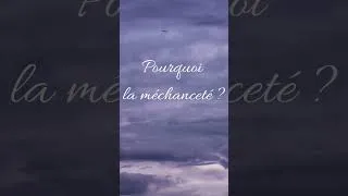 Miniature : Pourquoi la méchanceté ? #developpementpersonnel #force