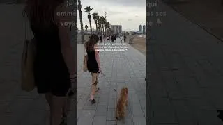 Miniature : Voyager à Barcelone avec un chien c’est validé ✅