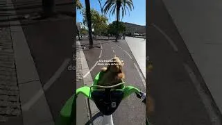 Miniature : RÉSISTER ou pas à 1 semaine à Barcelone ?