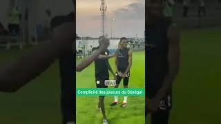Miniature : Complicité des joueurs du Sénégal ensemble pour la Can 2023 en Côte d'ivoire