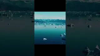 Miniature : Je suis une île gigantesque, la plus grande au monde dit-on...