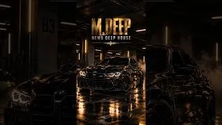 Miniature : Western Deep House 🌅 Emotional Guitar & Sax | M DEEP
