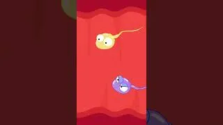 Miniature : The Great Sperm Race 🤣