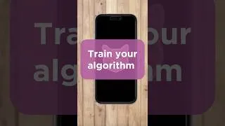 Miniature : Train your algorithm