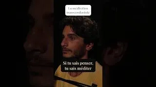 Miniature : Si tu sais penser, tu sais méditer