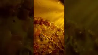 Miniature : Pizza #pizza