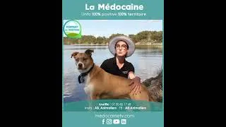 Miniature : Energéticienne Animalière en Médoc,