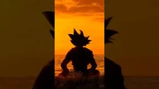 Miniature : Son Goku sunset