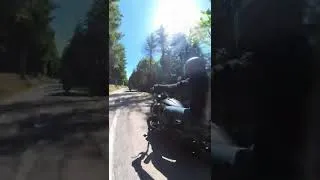 Miniature : 1er short, en vrai c'est tiktok ici maintenant 🤣
